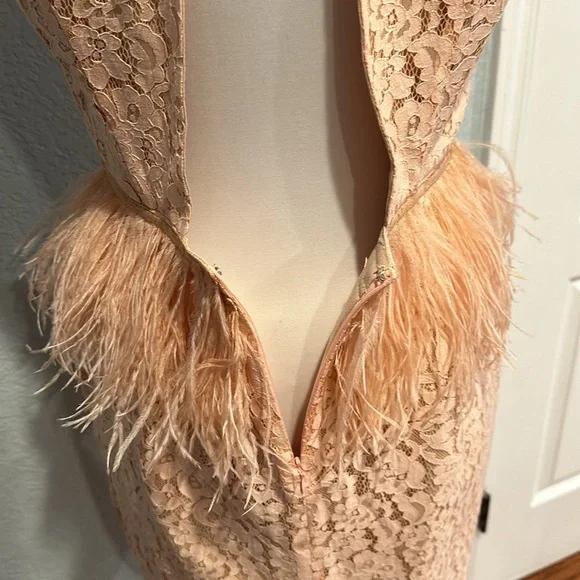 Revolve • Endless Rose Lace Feather Peplum Dress in Nude Pink • Sz L - Picture 7 of 10